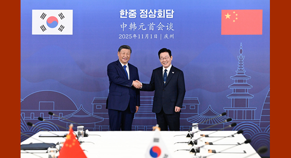 习近平同韩国总统李在明会谈