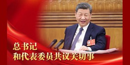 微视频丨总书记和代表委员共议关切事