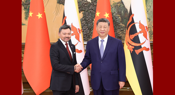习近平会见文莱王储比拉